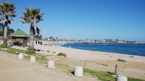DE PASEO POR LA PLAYA  EL QUISCO (PARTE 2) I