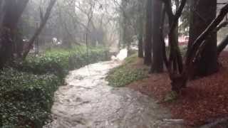 Details Crazy Rain in Berkeley, Flooded Strawberry Creek | Pineapple Express Update