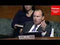 Mike Lee Presses Facebook Executive On Advertising Adult Content To Children