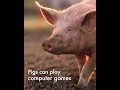 Farm animal facts for kids