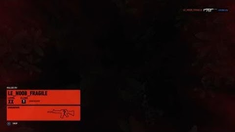 Cheater Team with lag switch ghost War