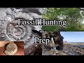 Fossil Hunting And Prep, Sandsend