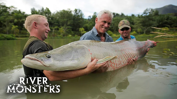 The Greatest Moments Fishing For ARAPAIMA | River Monsters