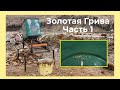 Золотая Грива. Часть 1. Искать золото за грамм.Gold prospecting.Prospect for gold. Gold search