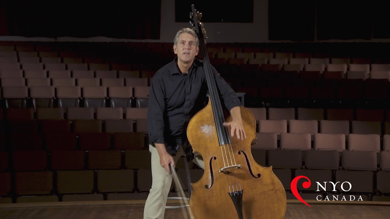 Double Bass Tutorial with Jeremy McCoy