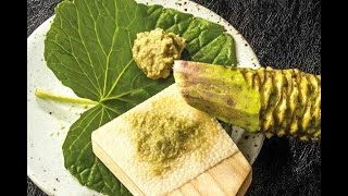 Wasabi nedir ? Wasabi sos hakkında bilmedikleriniz Resimi