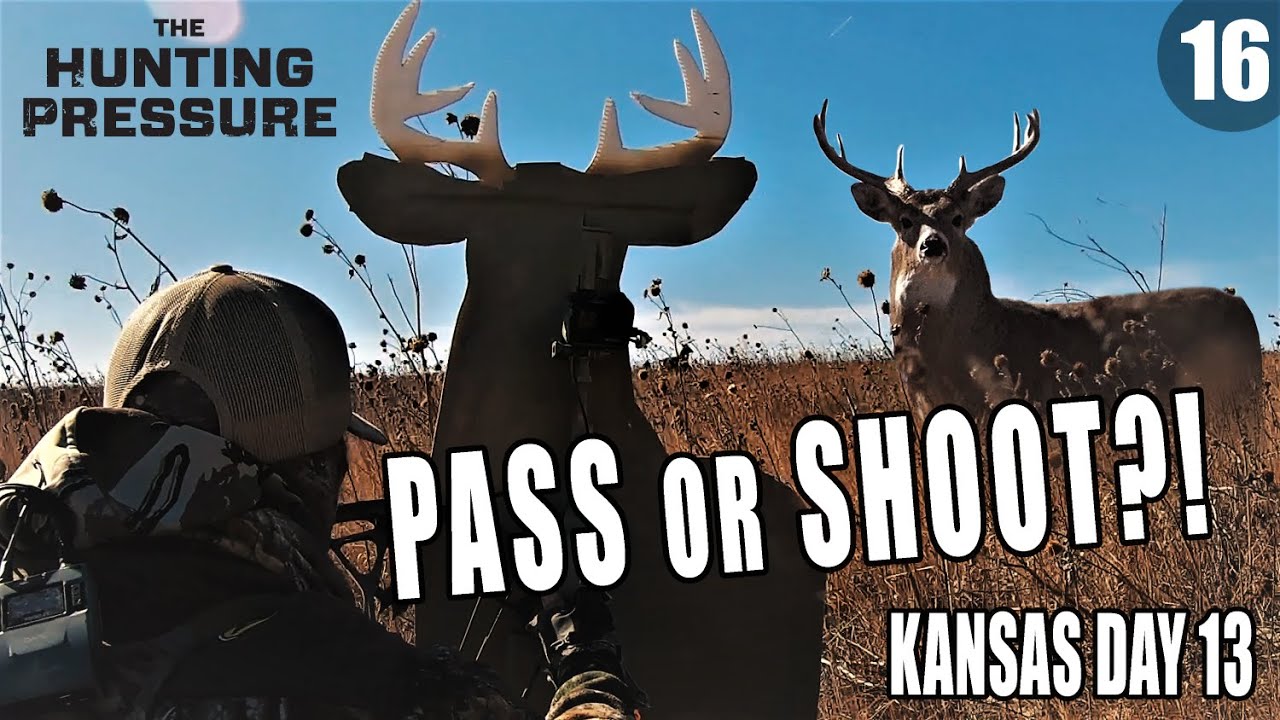 Decoy hunting EXTREME wind KANSAS PUBLIC LAND YouTube