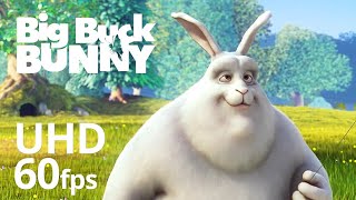 Big Buck Bunny 60fps uhd 4K resolution Foundation Animated Short Film blender 2.83 animation footage