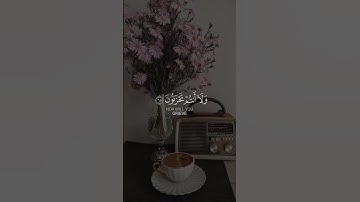 يا عباد لا خوف عليكم اليوم ولا انتم تحزنون | الشيخ محمد صديق المنشاوي | سورة الزخرف #المنشاوي
