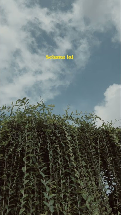 lagu naif buat status whatsapp