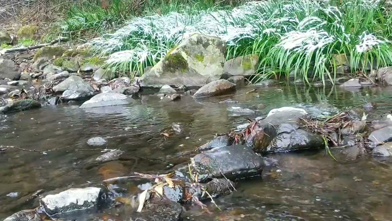 4 minute mind-purify winter riversound #naturesounds #healingsounds  #riversounds #relaxingsounds