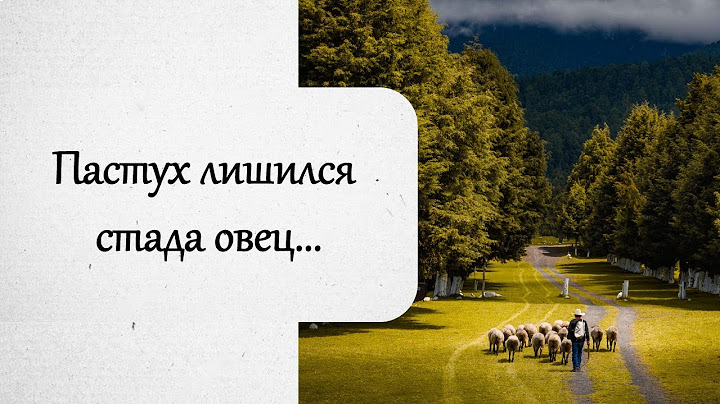 Пастух лишился стада овец... История из жизни.
