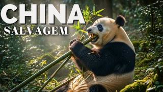 This Video Will Change Your Perspective | Documentary | CHINA