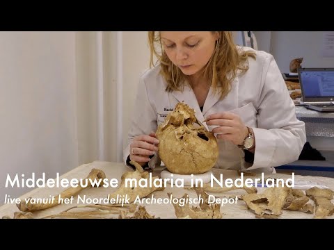 Archeologielezing 2 maart 2022:  Middeleeuwse malaria in Nederland - Rachel Schats