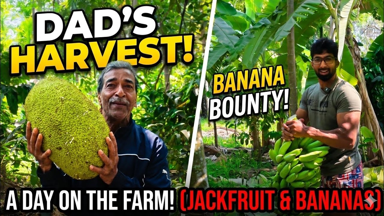 A Day on Dad’s Farm - YouTube