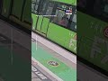 États-Unis : deux chèvres montent à bord...d'un bus｜TF1 INFO