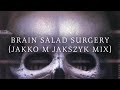 Miniature de la vidéo de la chanson Brain Salad Surgery (Single)