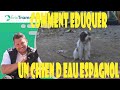 Comment eduquer une chien deau espagne agressif et hyperactif