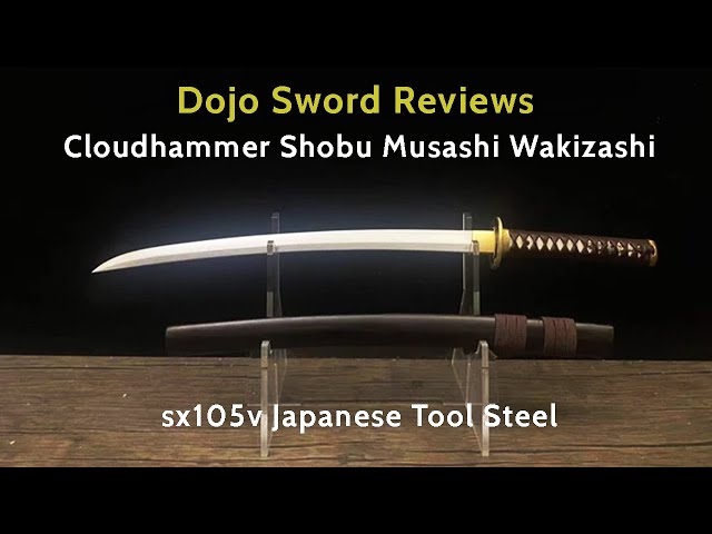Dojo Sword Reviews - Cloudhammer Shobu Wakizashi - Musashi