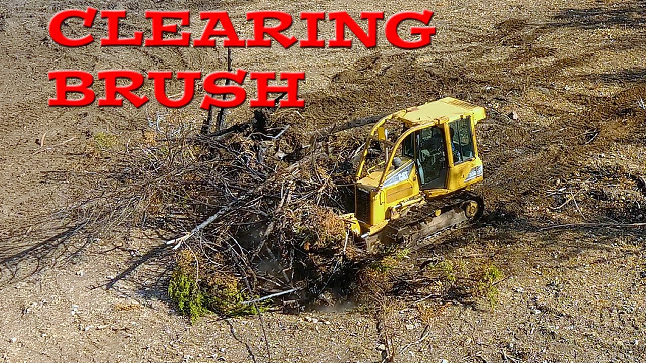 CAT D3 Dozer Clearing Trees - YouTube