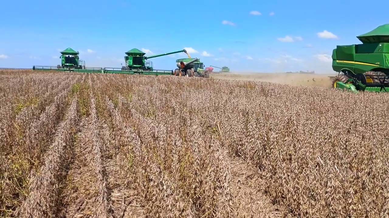 Sabadão bruto .agro MT.