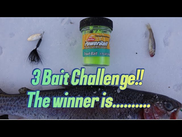 3 Bait Trout Challenge! This Bait Won! 