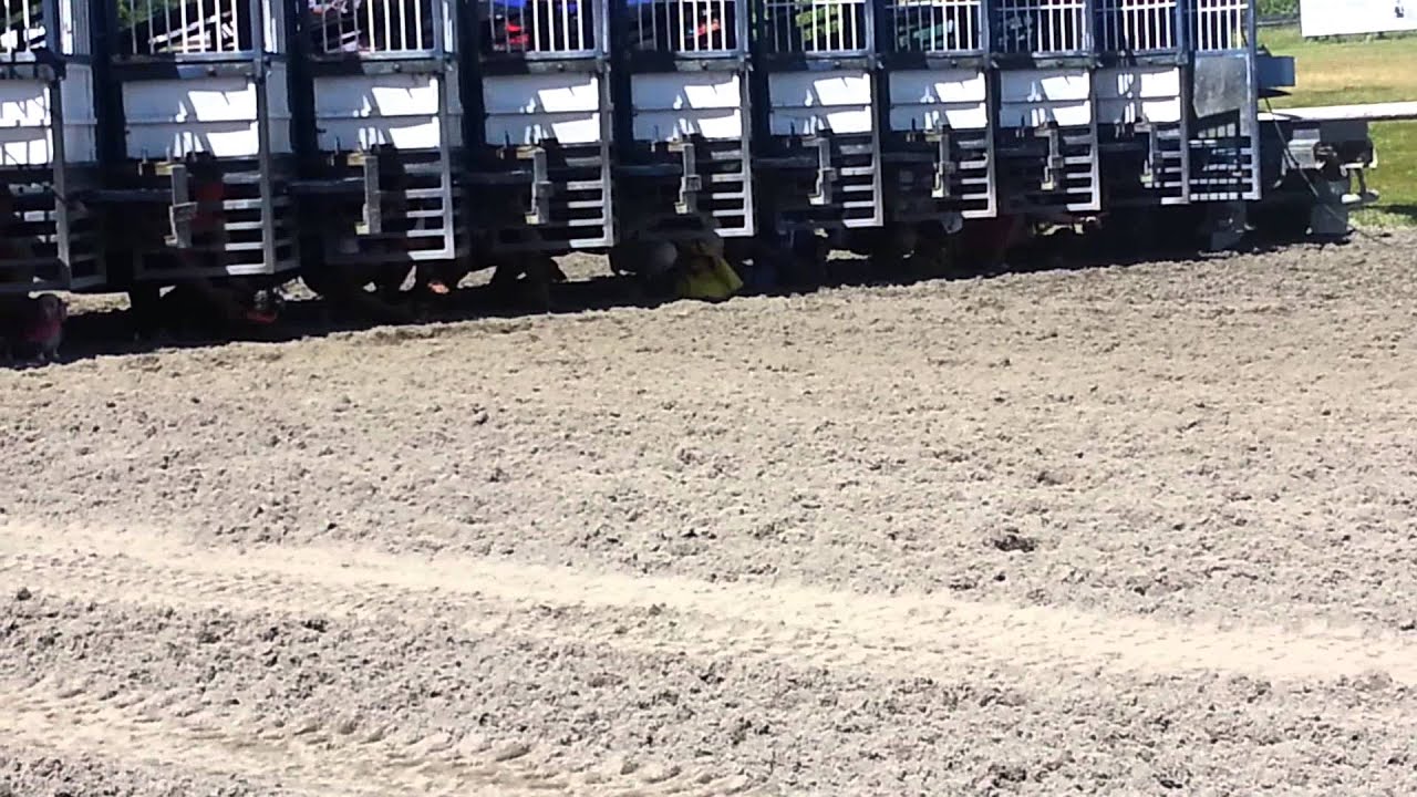 Wiener Dog racing