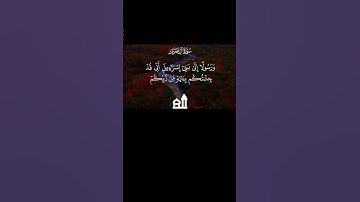 #القران_الكريم ﴿سورة آل عمران﴾ الفيديو 135 #allah #القرآن_الكريم #ياسر_الدوسري #capcut #quran