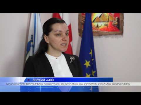 წარმატებული კერძო  კოლეჯები