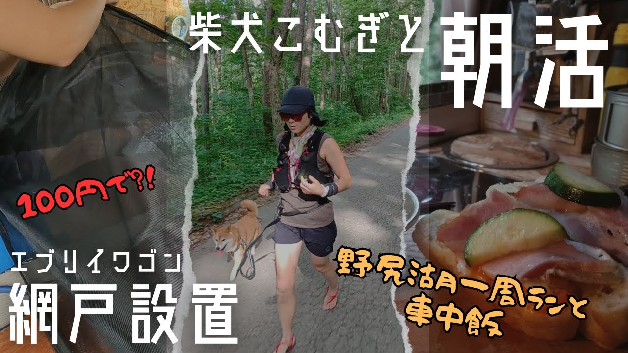 【柴犬こむぎと野尻湖朝活&エブ子網戸張り替え】野尻湖一周15kmランして車中モーニング食べてから車の網戸を新しくした休日