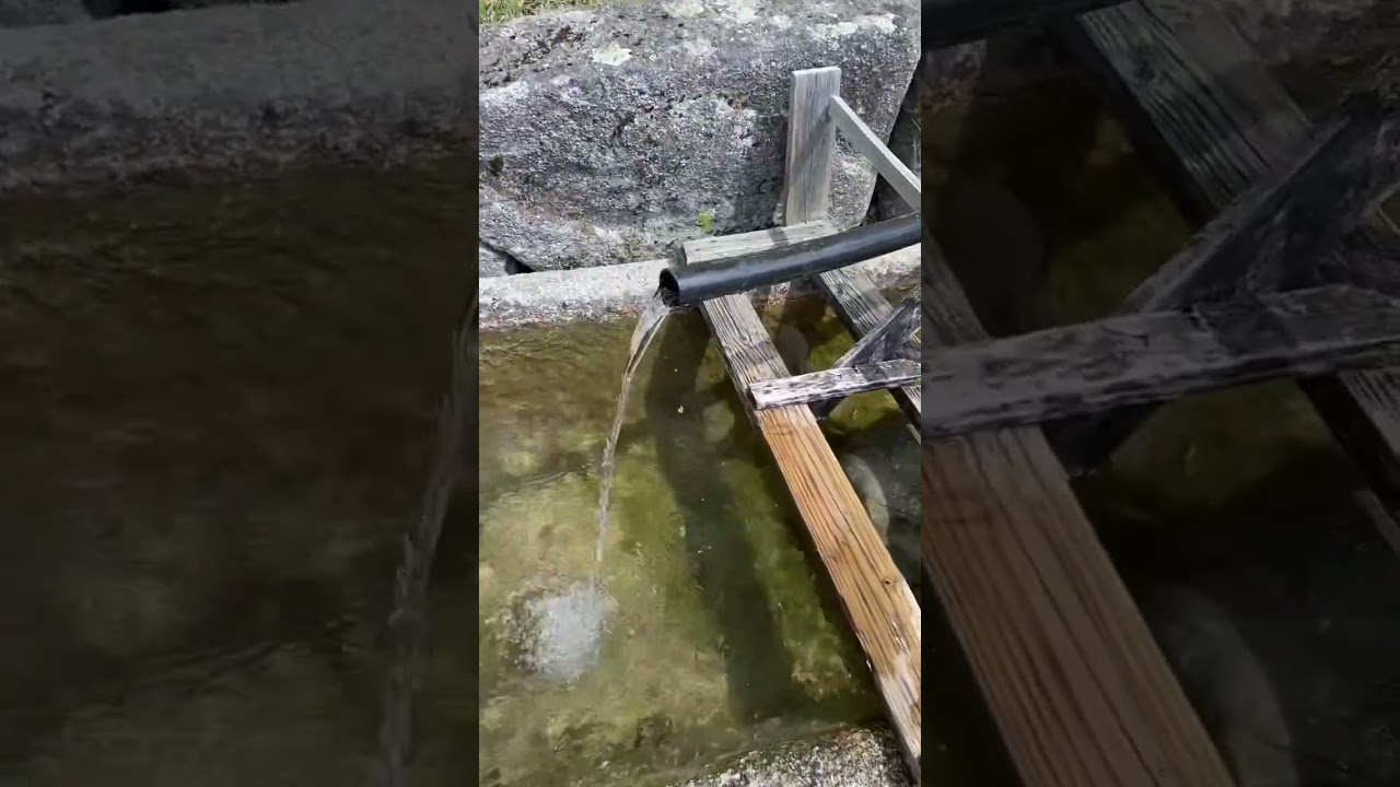 Dixmont Town, Spring 