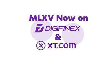 Marvellex Ventures | Revolutionizing Digital Investment with Blockchain Innovation