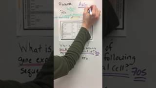 Gene Expression Problem