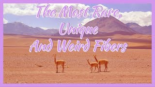 Yarniversity - The World's Most Rare, Unique and Weird Fibers