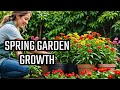 NEW: What I'm planting in my Spring garden!