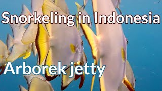 Snorkeling under Arborek jetty
