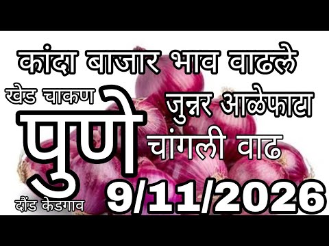 जुन्नर आळेफाटा कांदा बाजार भाव वाढले,kanda bajar bhav today, पुणे जिल्ह्यातील कांदा बाजार भाव वाढले