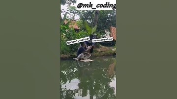 Frontend Developer vs Backend Developer!!!😂😂 #viralvideo #vivshorts #views #trending #reels #comedy