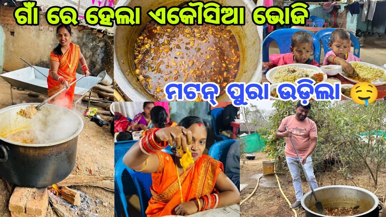 ଗାଁ ରେ ହେଲା ଏକୌସିଆ ଭୋଜି || ମଟନ୍ ପୁରା ଉଡ଼ିଲା