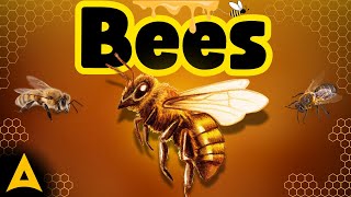 All About BEES | For Children [ Animal Edu ]