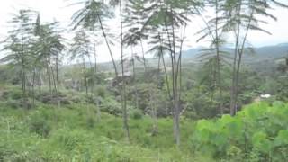 My Costa Rica Lot 99 As Of -2009