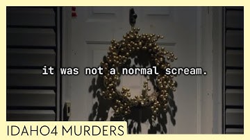 IDAHO4: Een getuige meldt zich