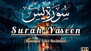 Quran Tilawat Voice | Surah Yaseen Heart Touching Voice Recitation