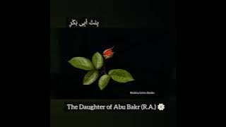 YA AISHA (R.A.)❤️| With English Subtitles | Mohammed Tarek,Mohammed Yousuf | WhatsApp Status | 2021