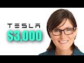 TESLA STOCK: Cathie Wood Just Dropped a BOMBSHELL about Tesla's Future (Tesla Stock Prediction)