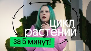 :    5 ! |   