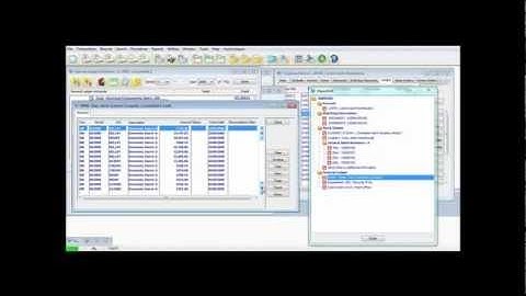 IRIS Exchequer software overview