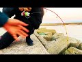 穴釣り史上最大の魚に大興奮