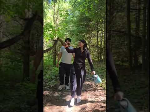 Forest's Beauty 💫#trekking #trending #ytshorts #youtubeshorts #chankaran#canada
