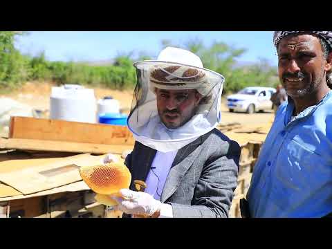 العصيمات موطن العسل الجبلي اليمني